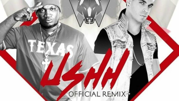 Mr. Fox – Ushh (Remix)