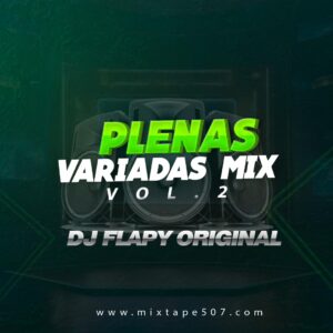 Plenas Variadas Mix Dj Flapy Original